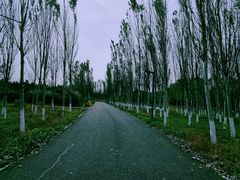 -东郊湿地公园