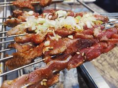 -邢氏老太太烤串(北兴街店)