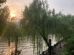 -运河游船(武林门码头)