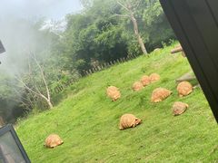 -宁波野生动物园