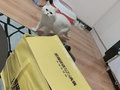 -熊猫垯火锅外卖(怀远门店)
