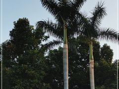 -广州市白云山风景名胜区