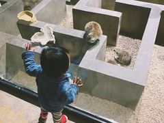 -zoonana室内动物园(东方福来德店)