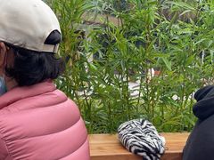 -霸王茶姬(正佳广场店)