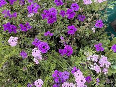 -宁波儿童公园(鄞州区)