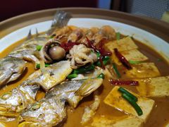 四季鲜鱼一锅出-船歌·鱼水饺青岛菜(金狮广场店)