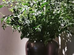 -山里亲戚(淞虹路店)