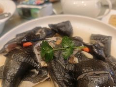 药材浸乌鸡-沙龙酒家