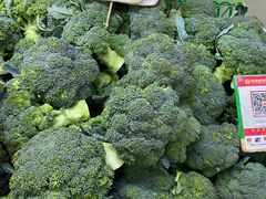 -五里多农博广场