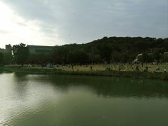 -牛岗山公园