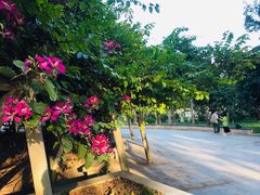 -南国桃园旅游度假区