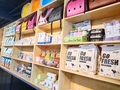 -猫十亿·布偶金渐层·曼基康矮脚猫舍(青年路店)