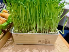 -椰子不语 椰子鸡火锅(淮海店)