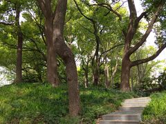 -徐家汇源景区-衡山公园