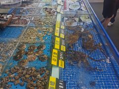 -青岛蓝海大饭店·渔歌舫(李沧店)