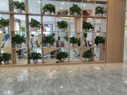 -碧莲盛·不剃发植发