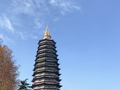 -红梅公园