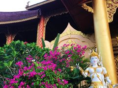 -西双版纳总佛寺