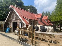 -神户市立六甲山牧场