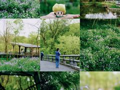 -西湖风景区-江洋畈生态公园
