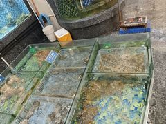-凯逸轩·匠心粤菜(中城名仕汇店)
