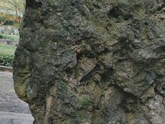 -海口火山口国家地质公园