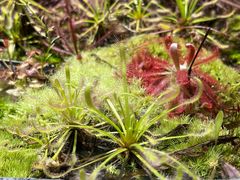 -国家植物园南园