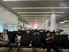 -青岛胶东国际机场