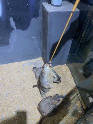 -酷嗒动物文化乐园(cutezoo西溪乐天城店)