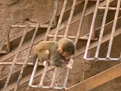 -昆明动物园