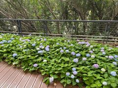 -苏州河梦清园环保主题公园