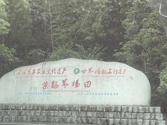 -紫鹊界梯田景区