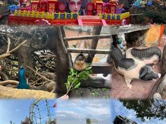 -长鹿旅游休博园