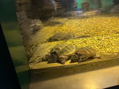 -常州海昌海洋探索馆