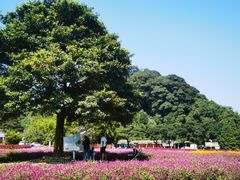 -广州市石门国家森林公园