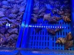 -新海渔港·胶东海鲜家常菜·家宴(奥体中心店)