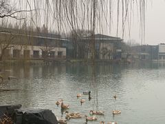 -上海怡沁园度假酒店