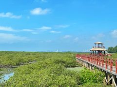 -北海金海湾红树林生态旅游区