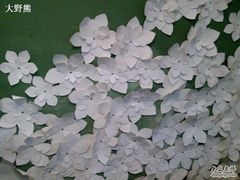 纸花-朵朵开素食餐厅(后宰门街店)