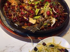 -老板恋上鱼(高新万达店)