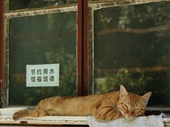 -西园戒幢律寺