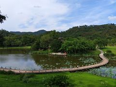 -国恩寺