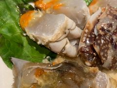 -高佳庄·舟山海鲜(海景旗舰店)