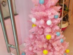 -三花喵·撸猫购宠·宠物生活馆(虹桥南丰城店)
