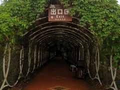 -渔岛海洋度假区