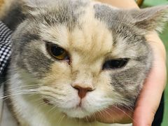 -藦茜花园宠物主题亲子互动体验馆(国顺东路店)