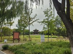 -北京麋鹿生态实验中心