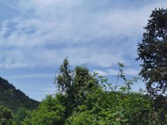 -木兰云雾山