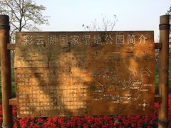 -重庆彩云湖湿地公园