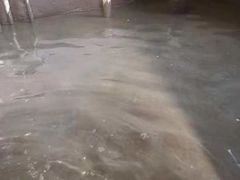 -东易日盛·数字化全案家装(总店)